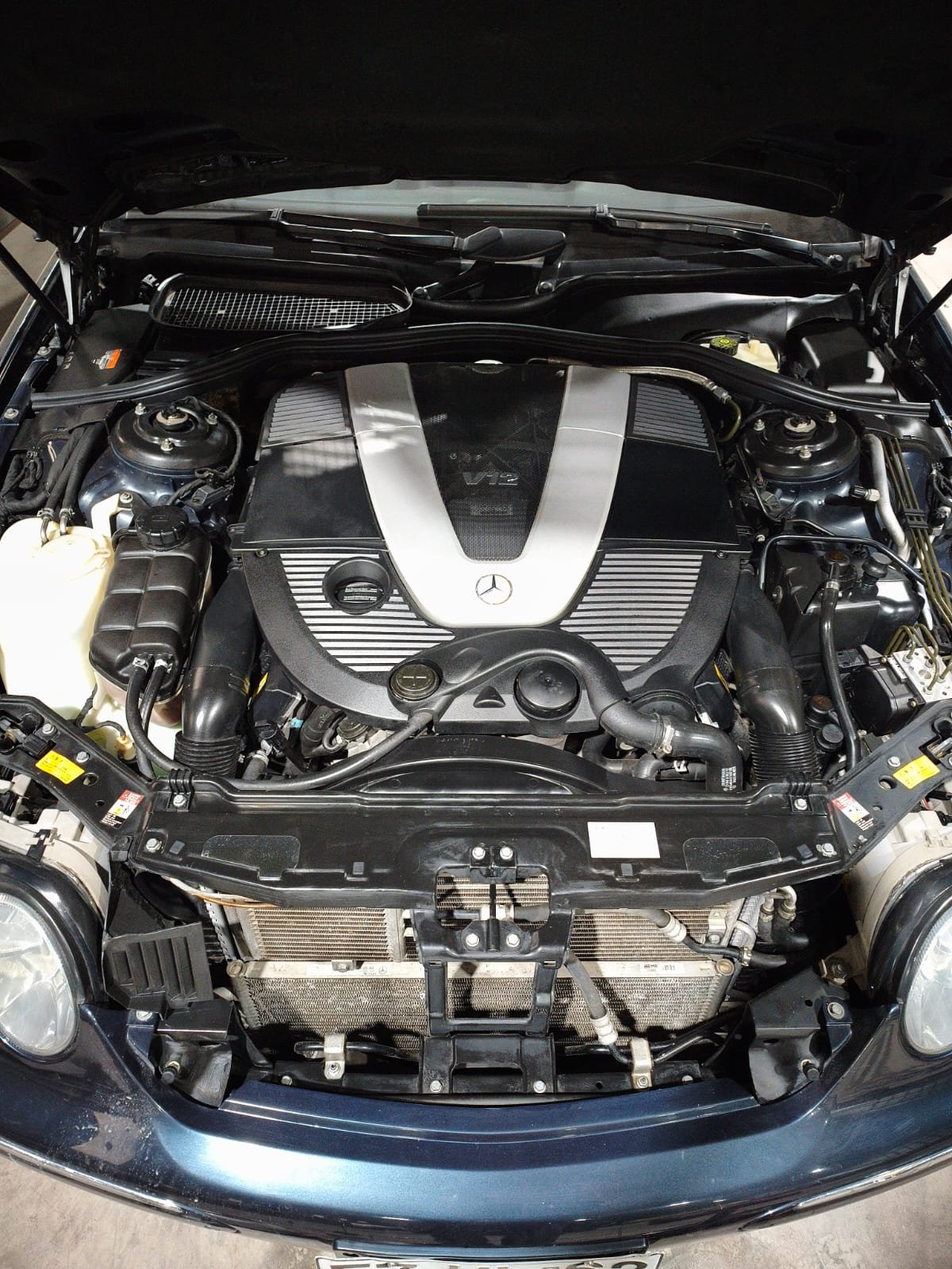 Limpieza profesional del motor